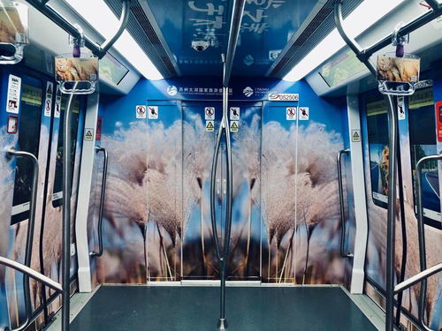 蘇州文青必去打卡 國內首條全場景文化旅游特色線路蘇州軌交5號線開通